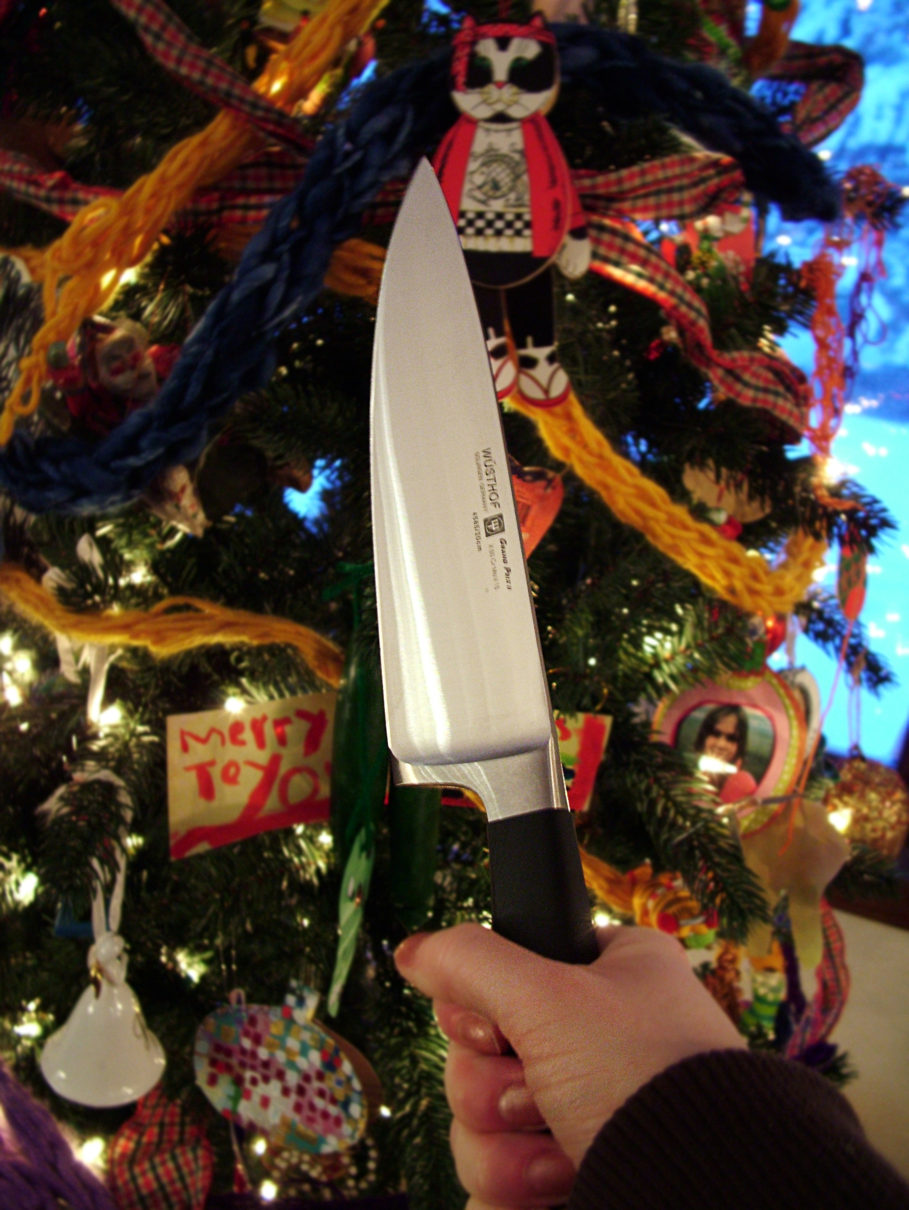 Wusthoff knife